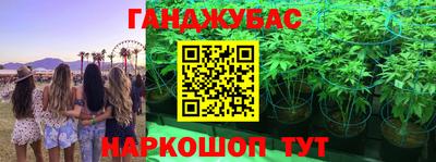метадон Новодвинск